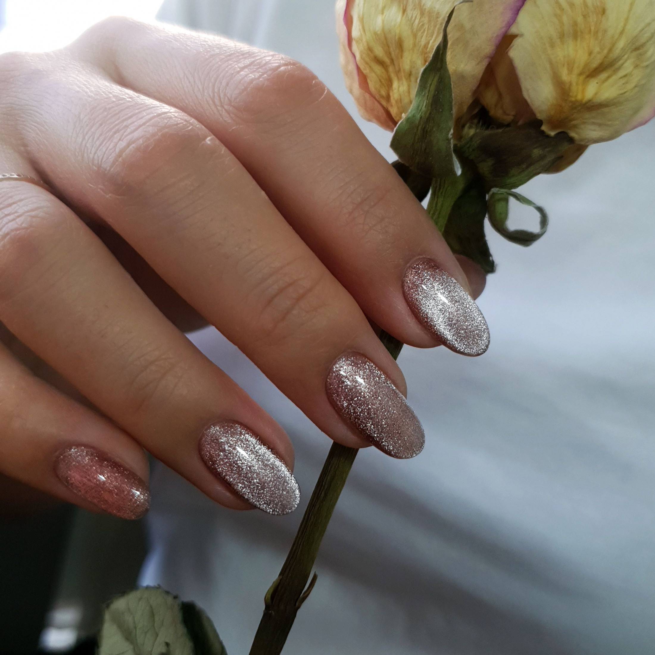 Гель-лак Cat eye Moonlight 01