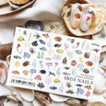 IBDI Nails